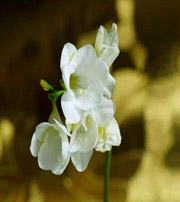 亳州十二生肖看看你的幸运数字是什么吧！