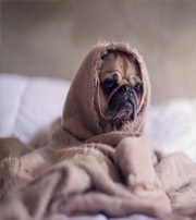 亳州有这样的手机号码，留不住钱，你中枪了吗？