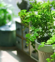 亳州专属于你的开运指南，助你鸿运当头福满身！