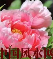 亳州预示你财运上升，姻缘可成的梦境，快来看看吧！