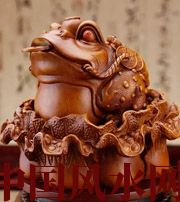 亳州解读金蟾最合适的位置，这样摆放更招财！