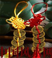 亳州养鱼禁忌知多少？别伤了风水财运还傻傻不知~