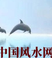 亳州做梦梦到这些，是要富裕的征兆！