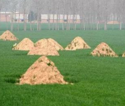 亳州阴宅风水：形峦三十六绝